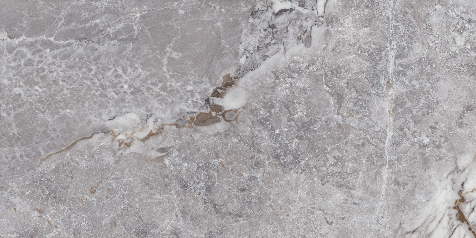 Aesthetica - T-2696-AEST-UG-FT-24X48-POL