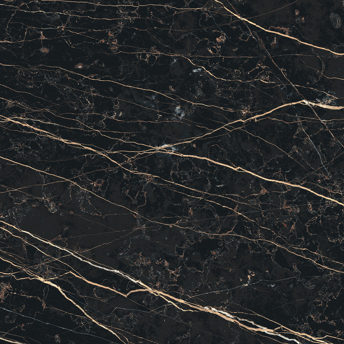 Prexious De Rex - T-3806-PREX-THNT-FT-24X24-M