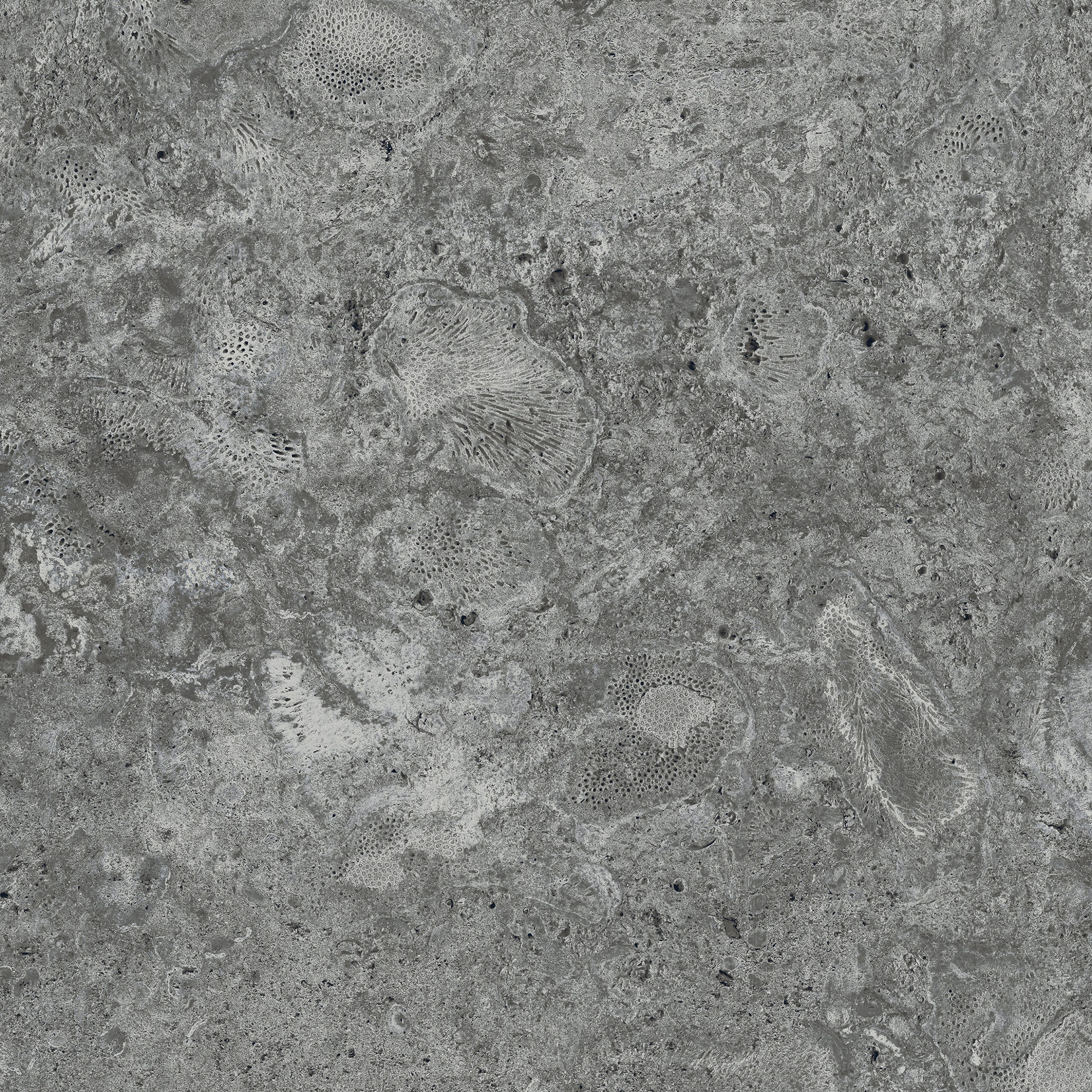 Old World Tabby Coral Nero 24x24 Porcelain Paver