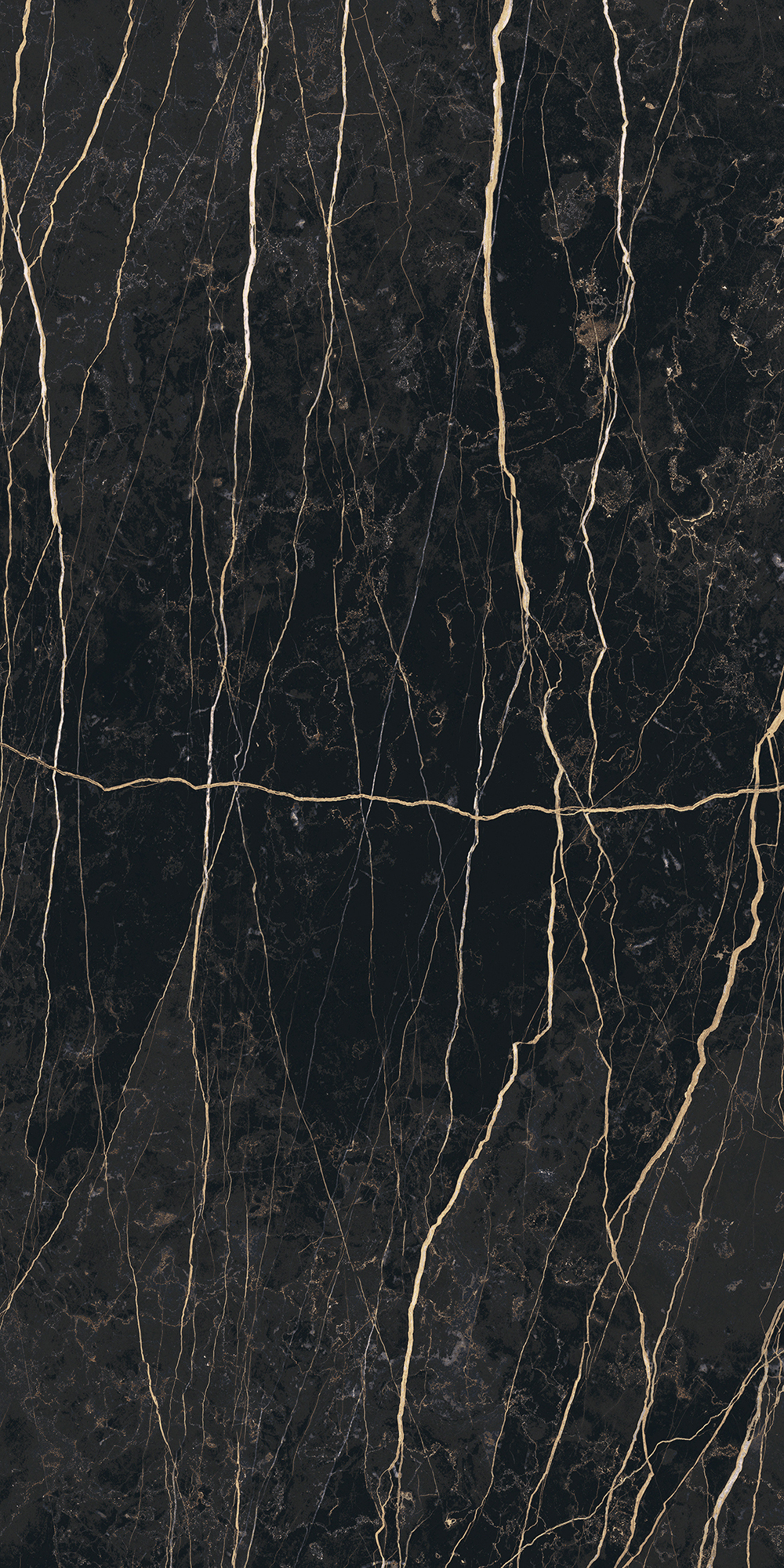 Prexious De Rex - T-3806-PREX-THNT-FT-24X48-GLS10MM