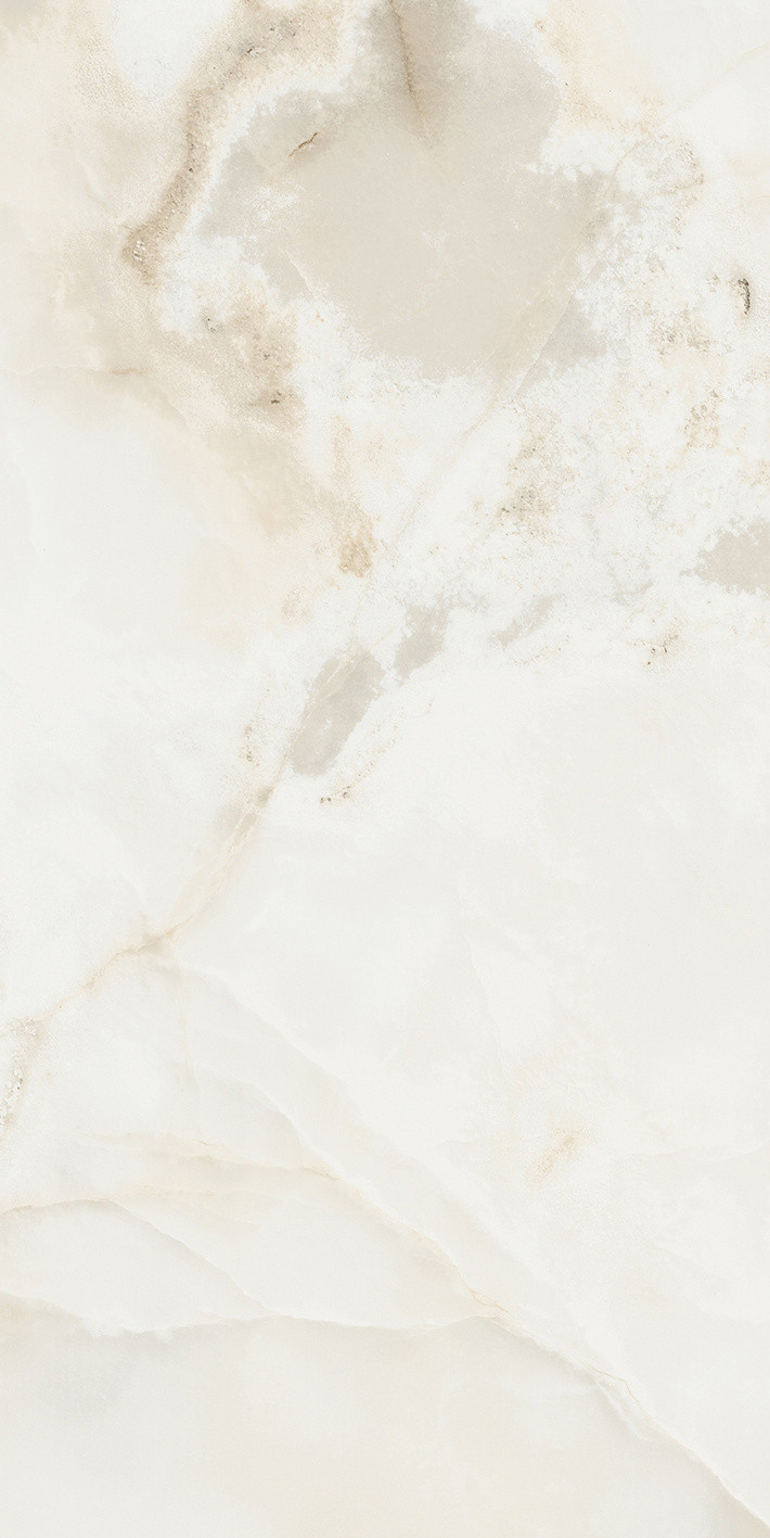 Reves De Rex - T-3806-RDR-PER-FT-24X48-GLSR10MM