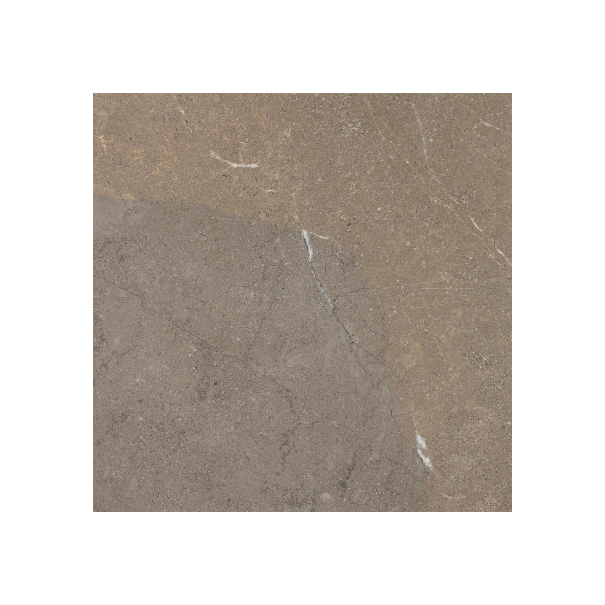 Portobello - T-279219-HAC-PRTO-FT-18X18-HNDAE