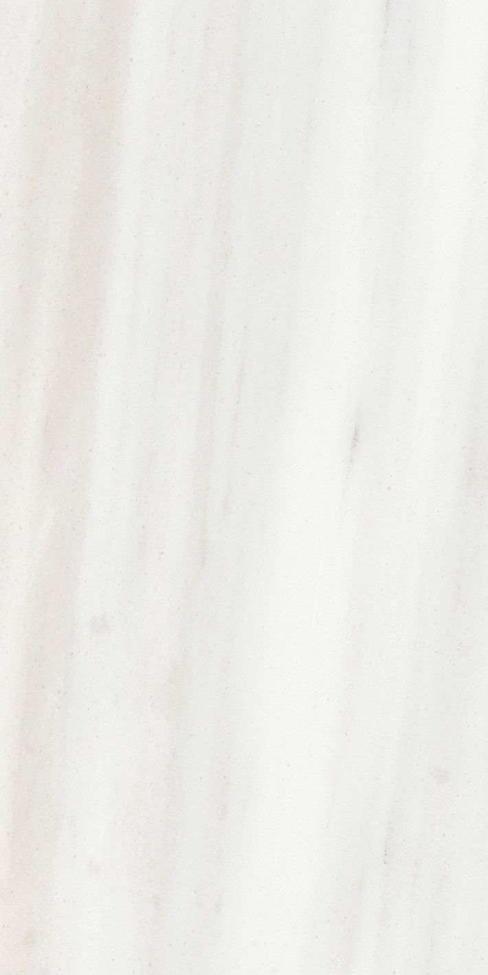 Origines De Rex - T-3806-ODR-ODR-FT-12X24-M10MM