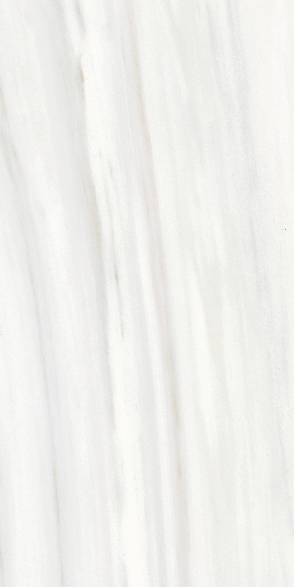 Origines De Rex - T-3806-ODR-ODR-FT-24X48-M10MM