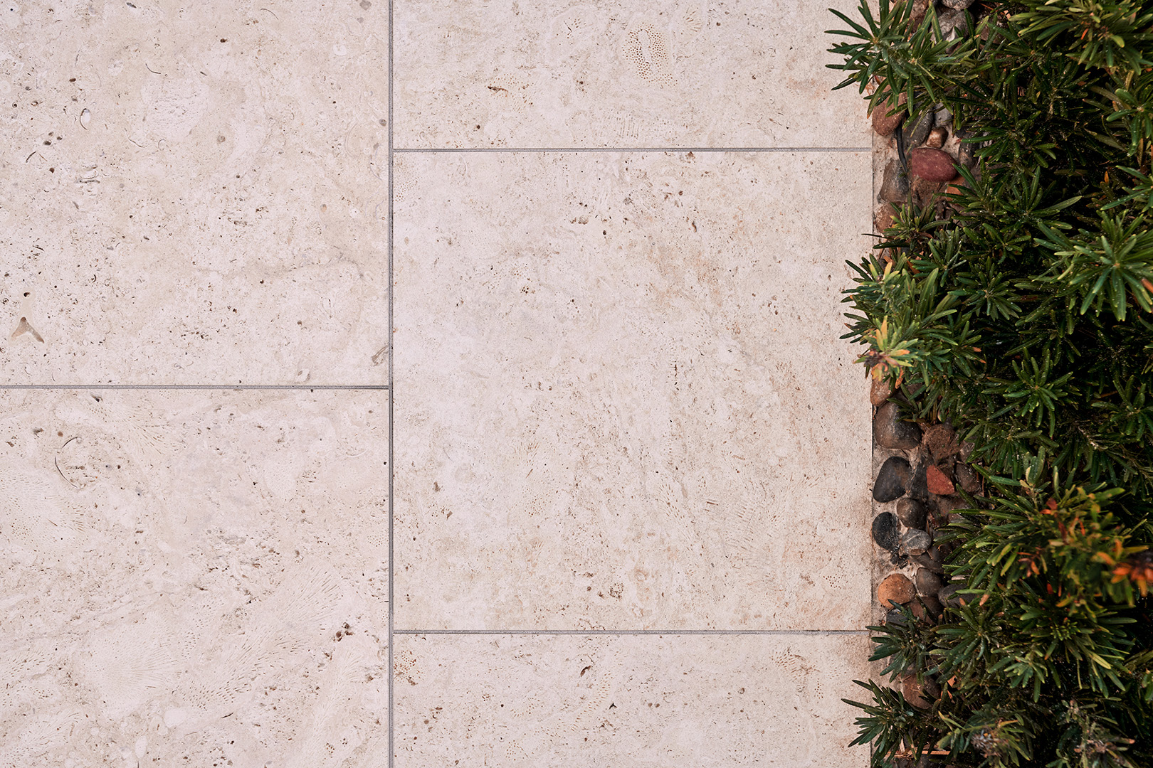 Old World Tabby Coral Select White 24x24 Porcelain Paver