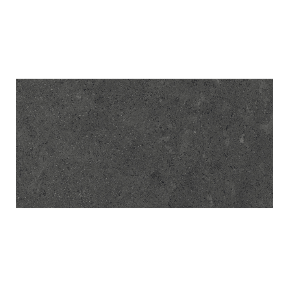 T-196252-MDST-CHAR-FT-12X24-MR
