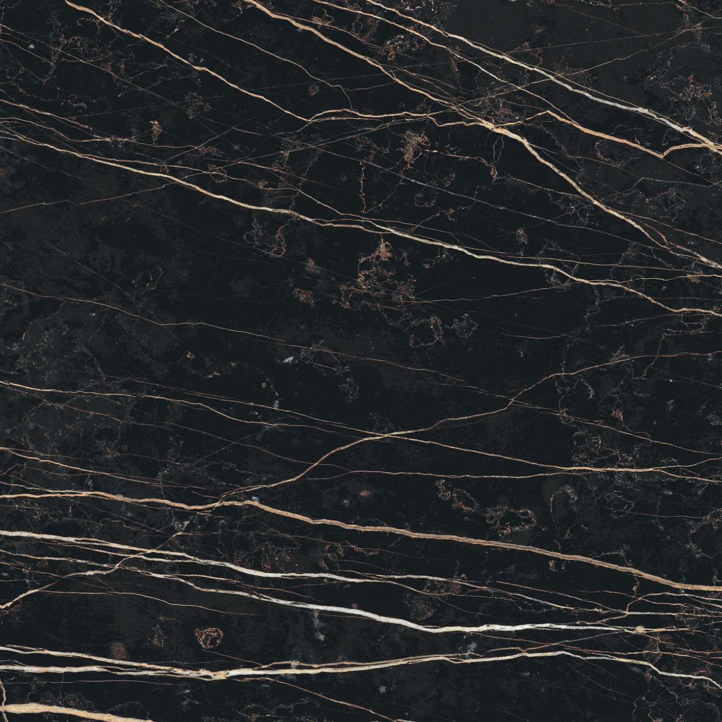 Prexious De Rex - T-3806-PREX-THNT-FT-24X24-M