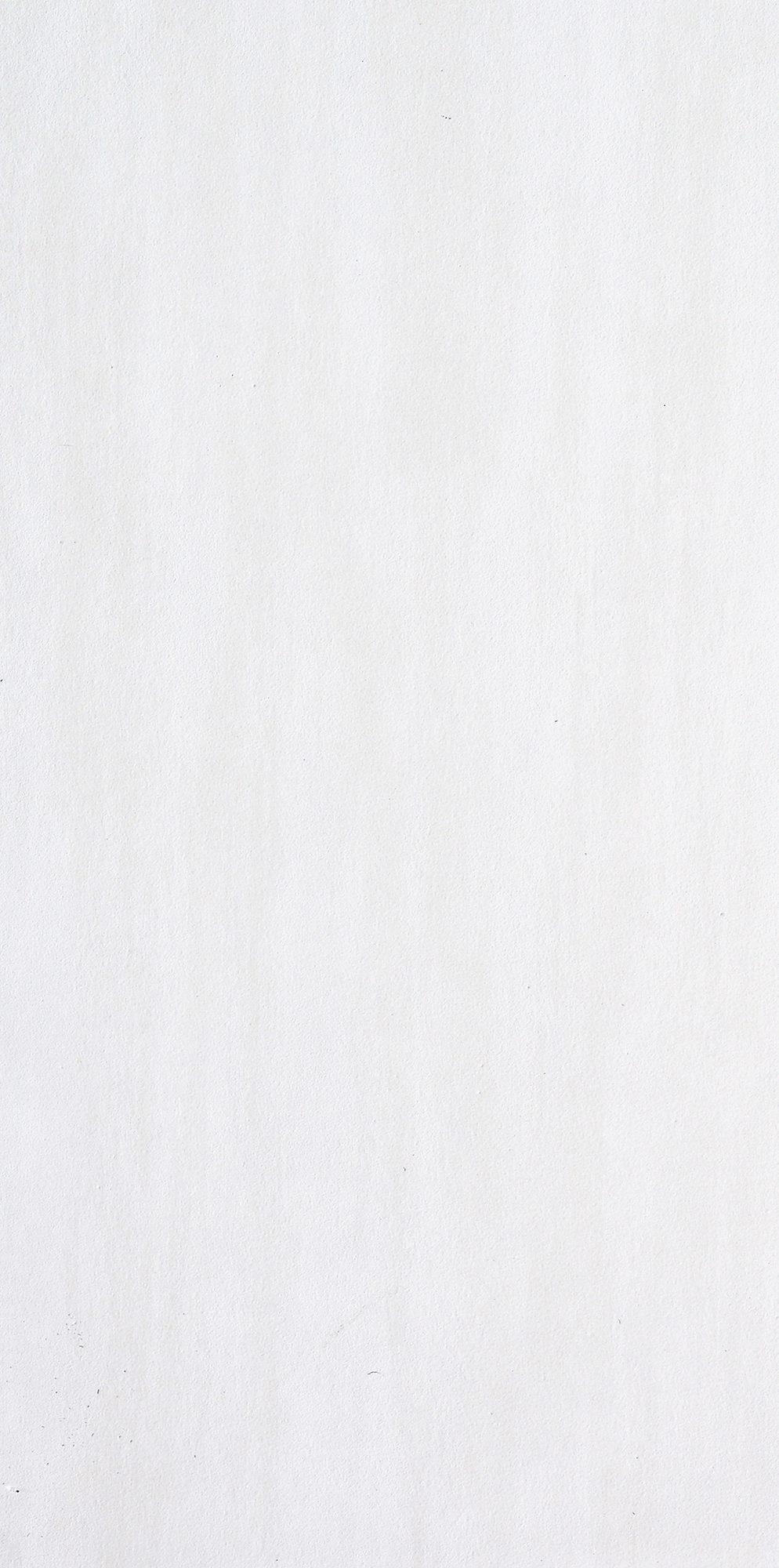 Koshi - T-2696-KO-W-FT-12X24-NAT