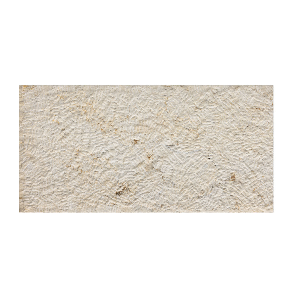T-279219-OLDC-PRL-WT-12X24-TXT-09