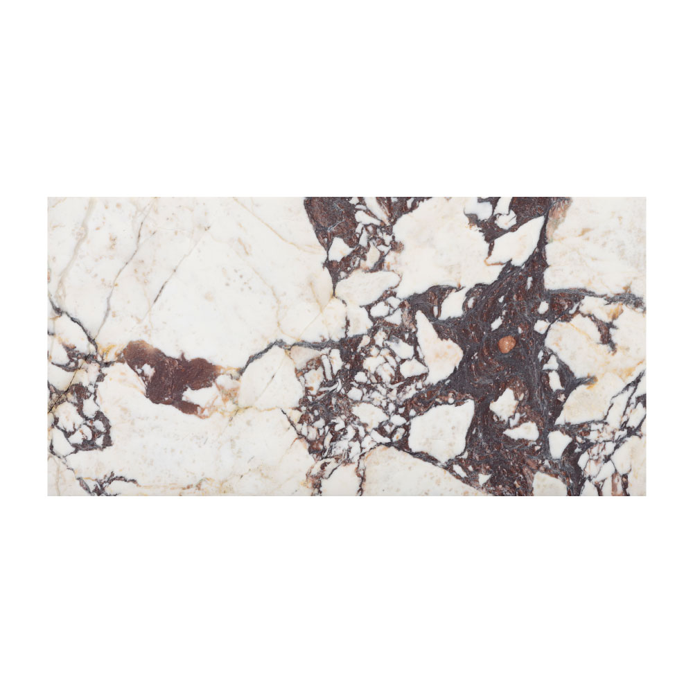 T-279219-WHM-CVIO-FT-12X24XTE-HNDAE-11