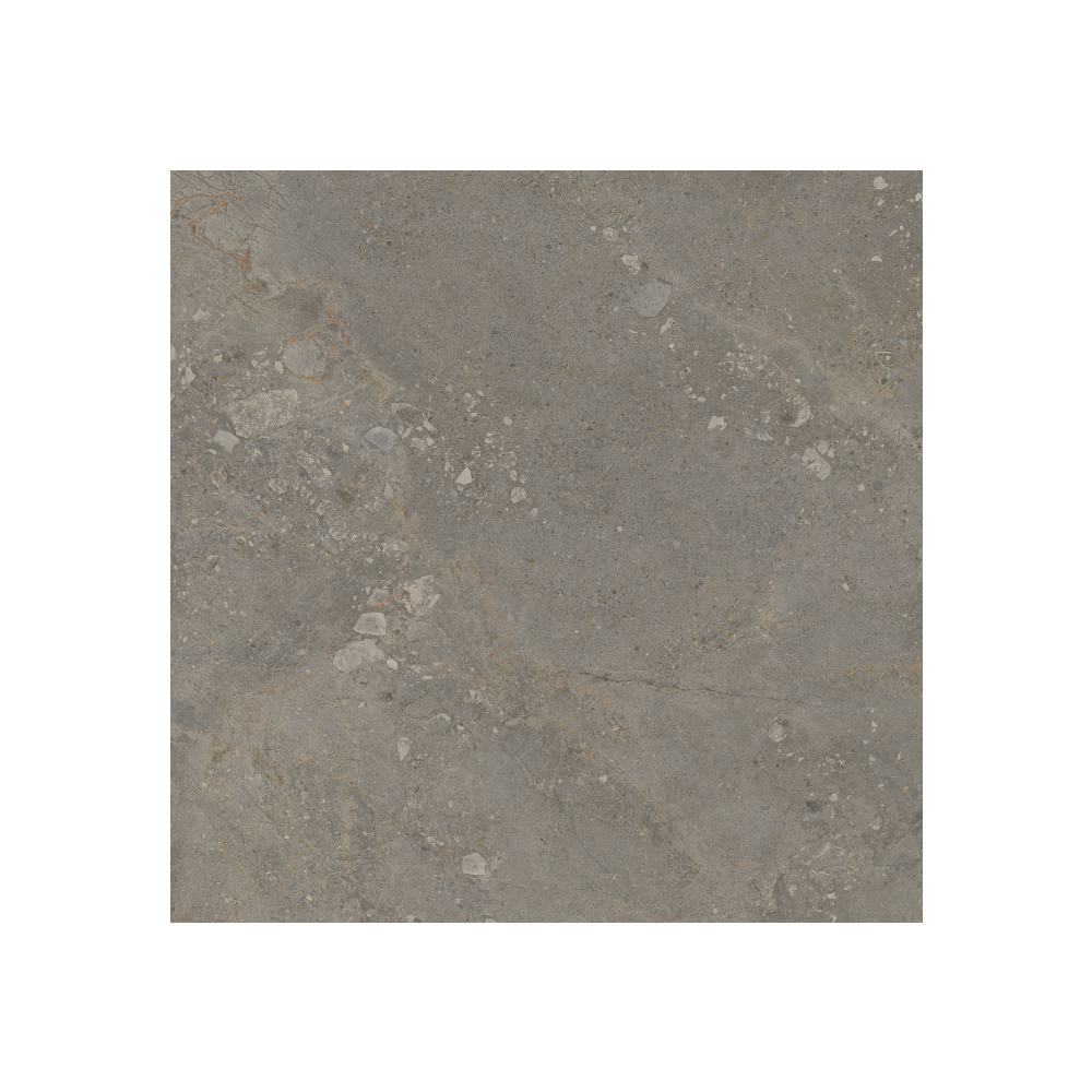 Moondance - T-267223-MNDC-DRKGY-FT-36X36-M