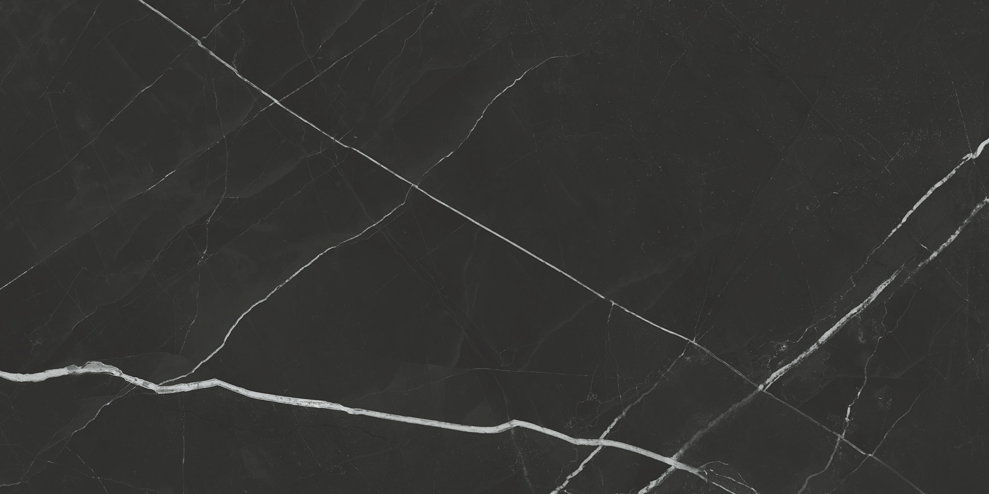 Beyond Calacatta - T-2090-BCAL-BLK-FT-24X48-POL