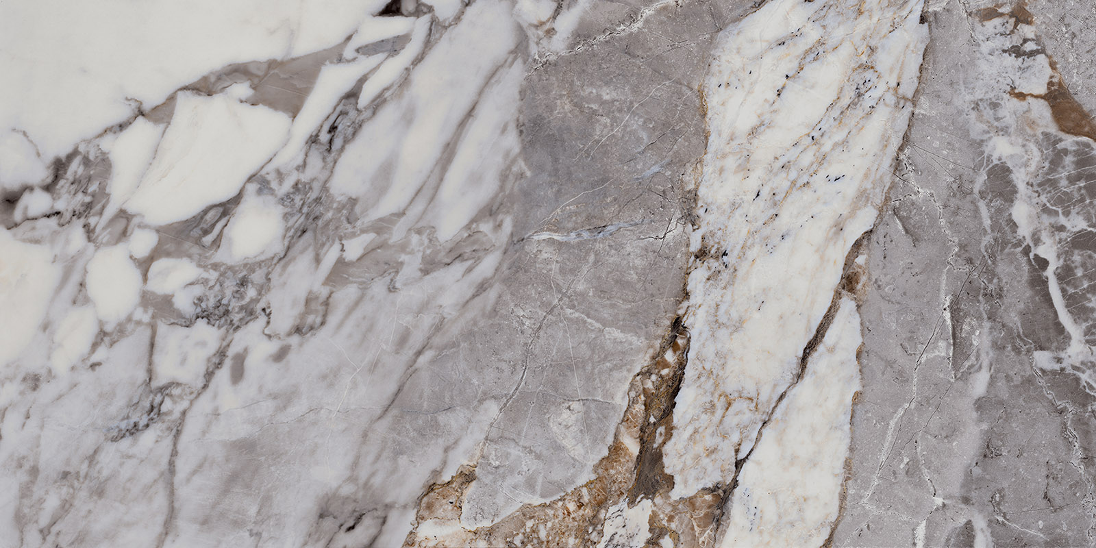 Aesthetica - T-2696-AEST-UG-FT-24X48-POL