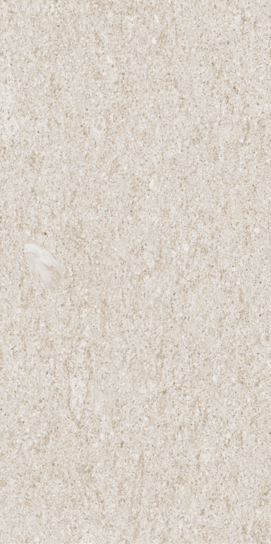 Civilization - T-2922-CIVI-CENS-FT-12X24-SPO