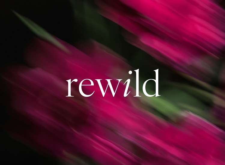 HamiltonParker Sherwin-Williams-Rewild-2027-Event-Columbus WebEventImage 8-27-26