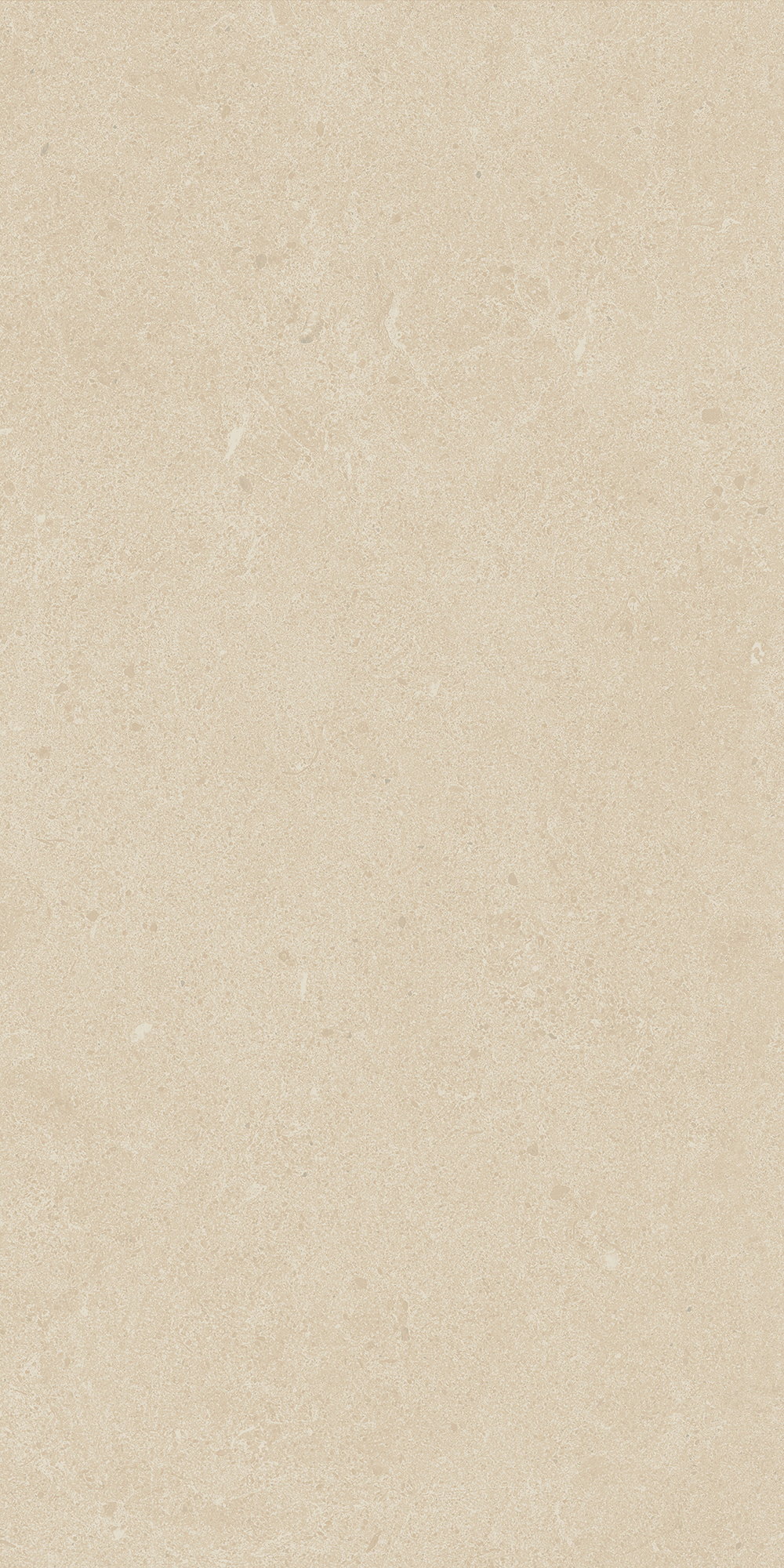 Argent 2.0 - T-2922-ARG2-ARG31-FT-6X24-UPS