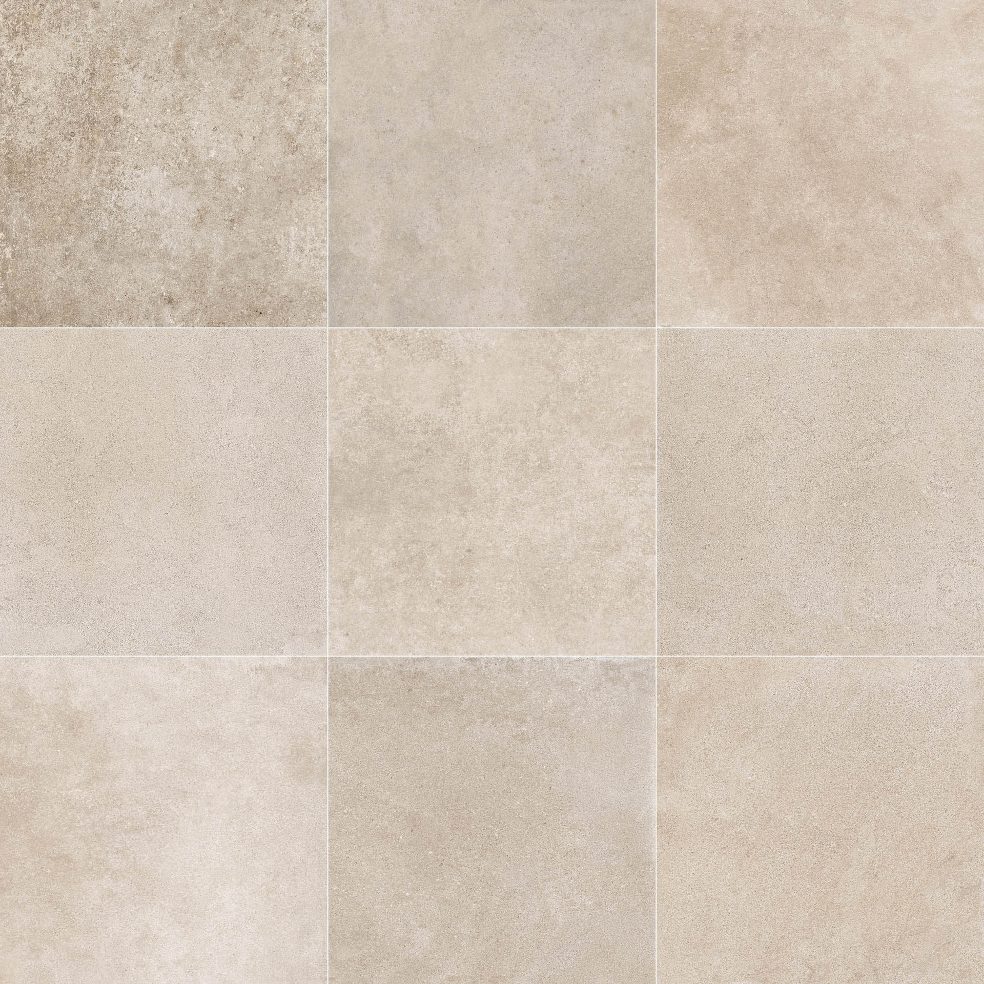 Dijon - T-135856-DIJ-COQ-FT-12X24-SP