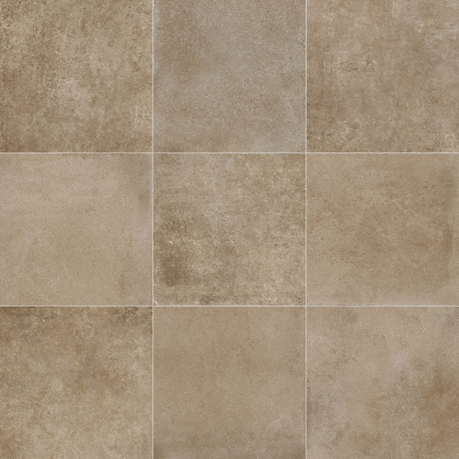 Dijon - T-135856-DIJ-BOI-FT-12X24-SP