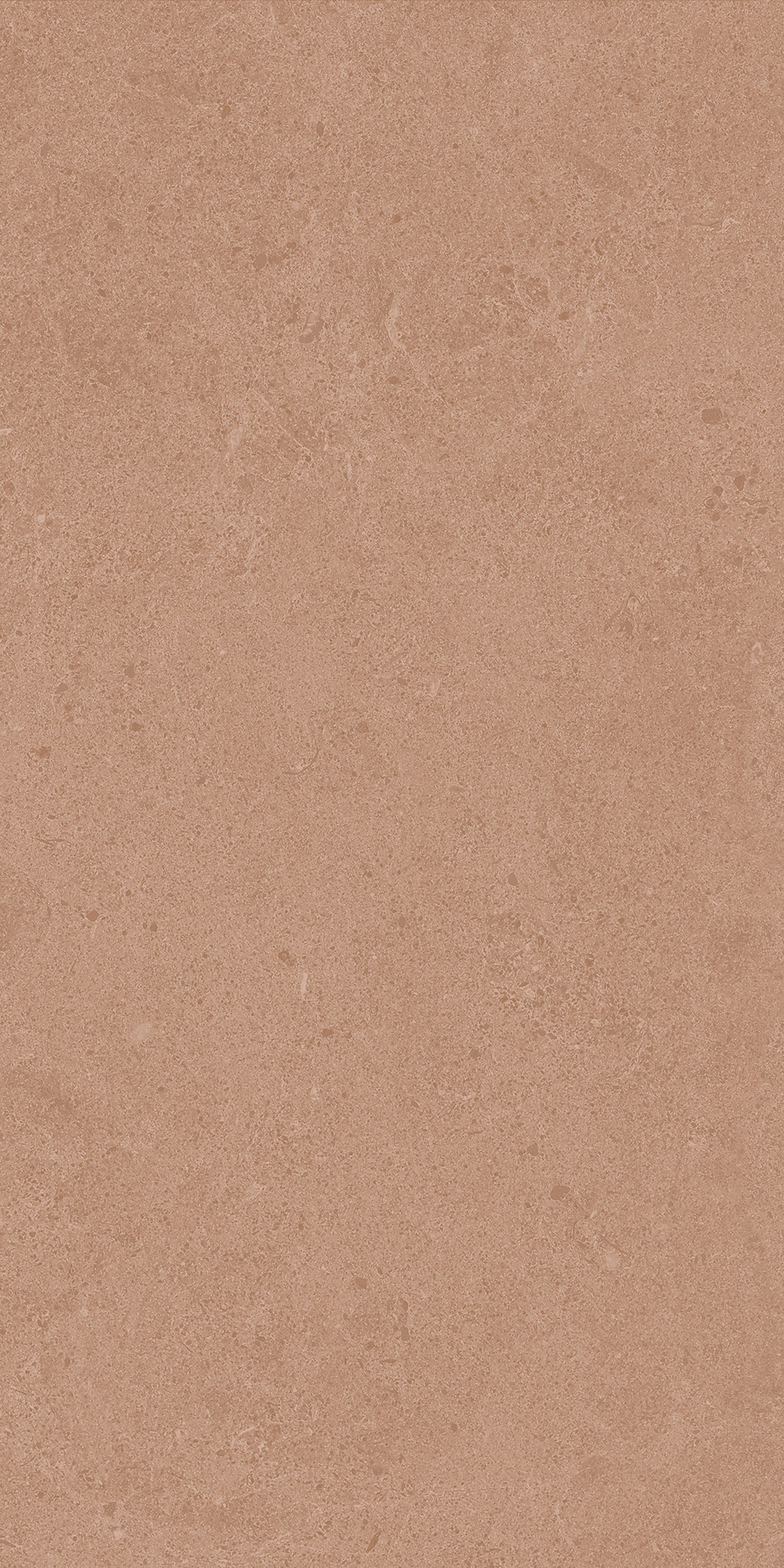 Argent 2.0 - T-2922-ARG2-ARG36-FT-6X24-UPS