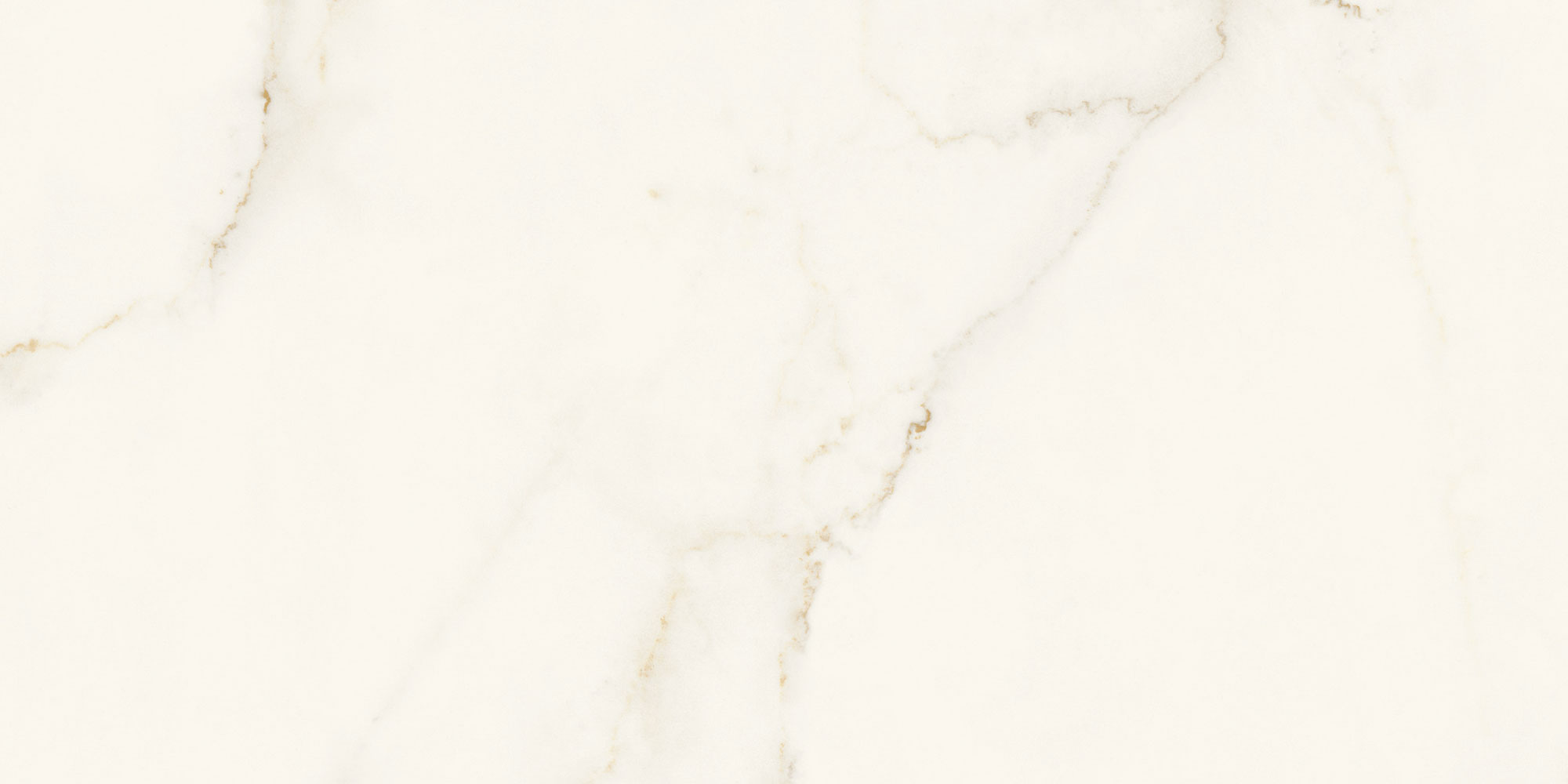 Marvel X - T-2067-MARVX-CAAP-FT-24X48-POL