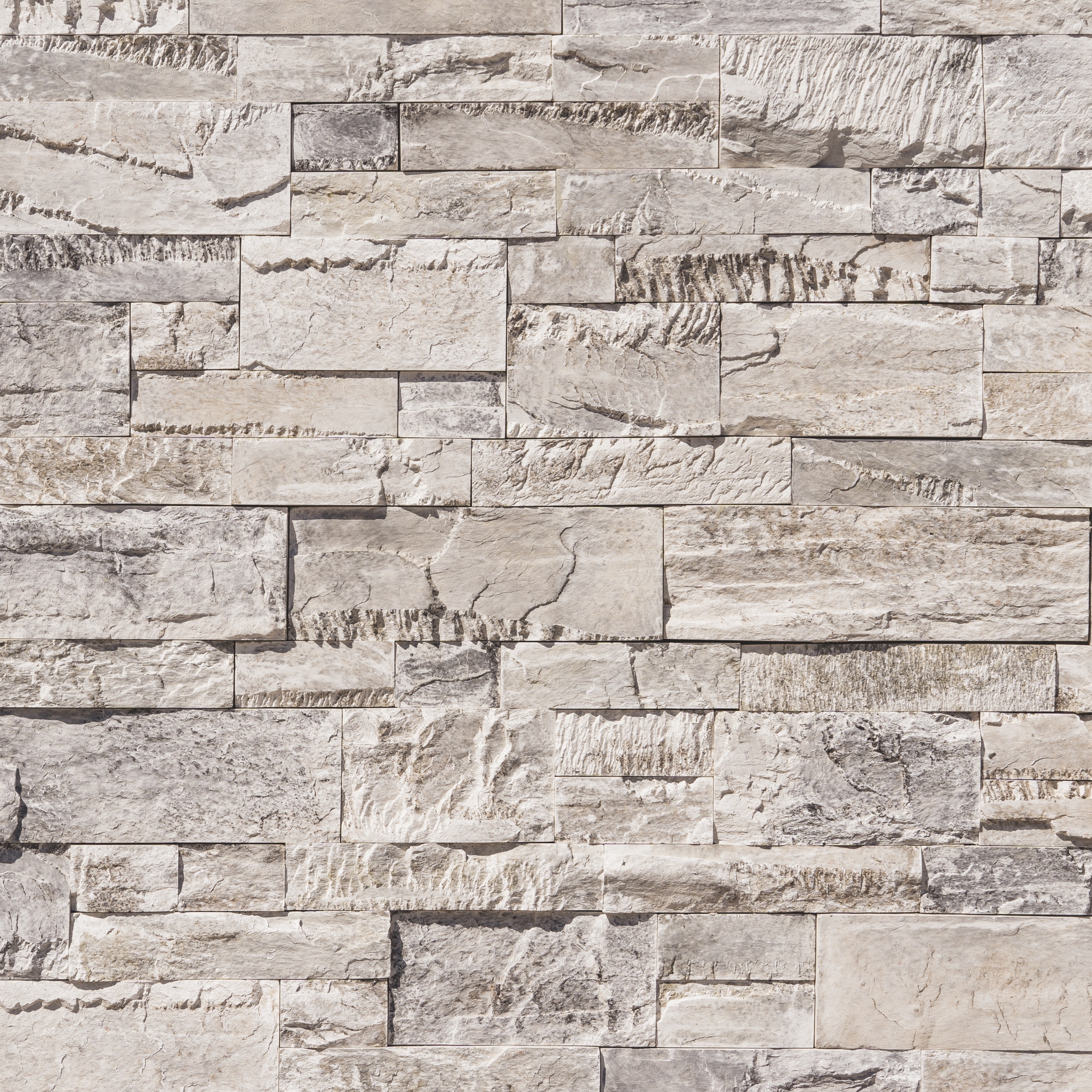 Product image for Craft Spilt Modular Wildflower Flats