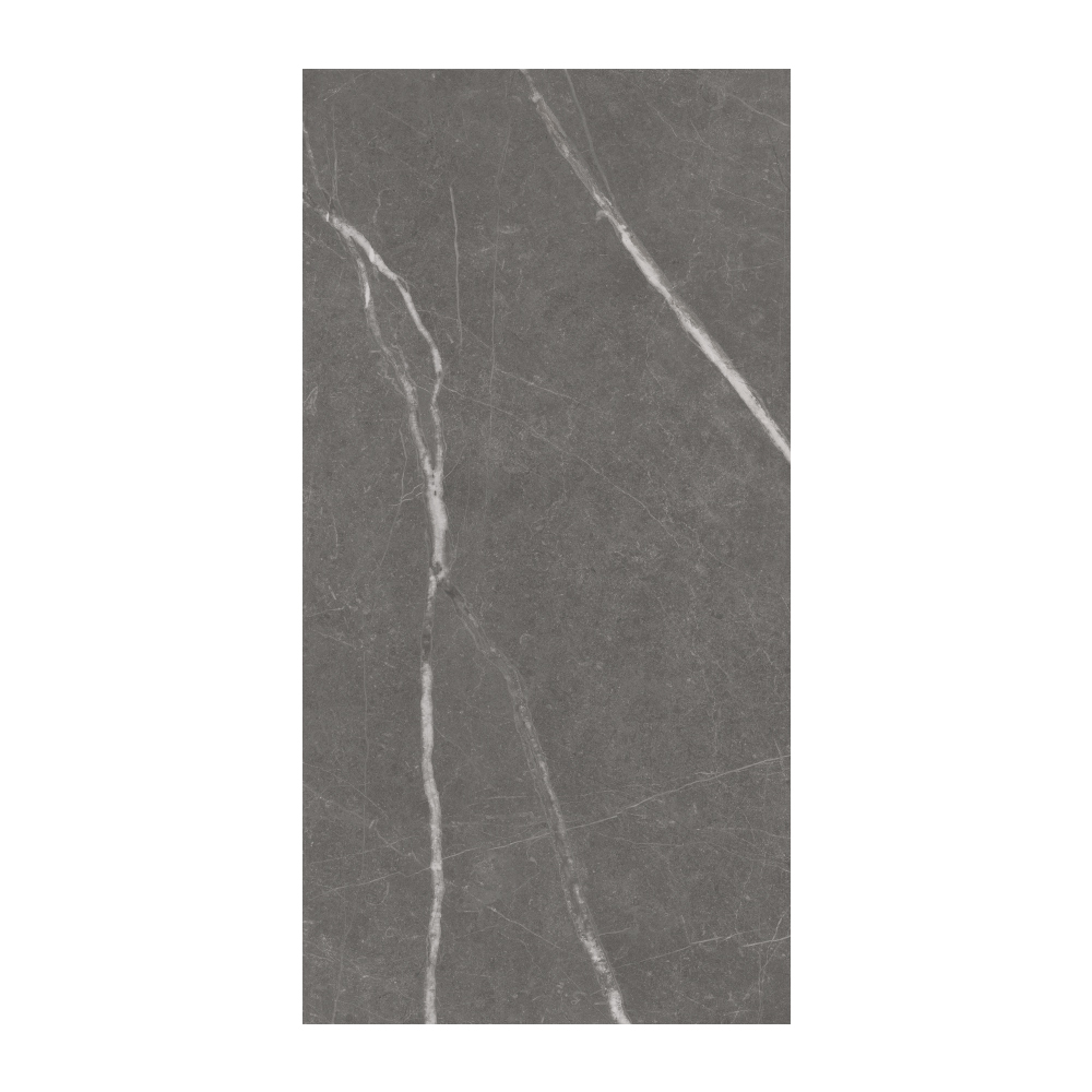 Sociale - T-2922-SCLE-SCL05-FT-12X24-FST