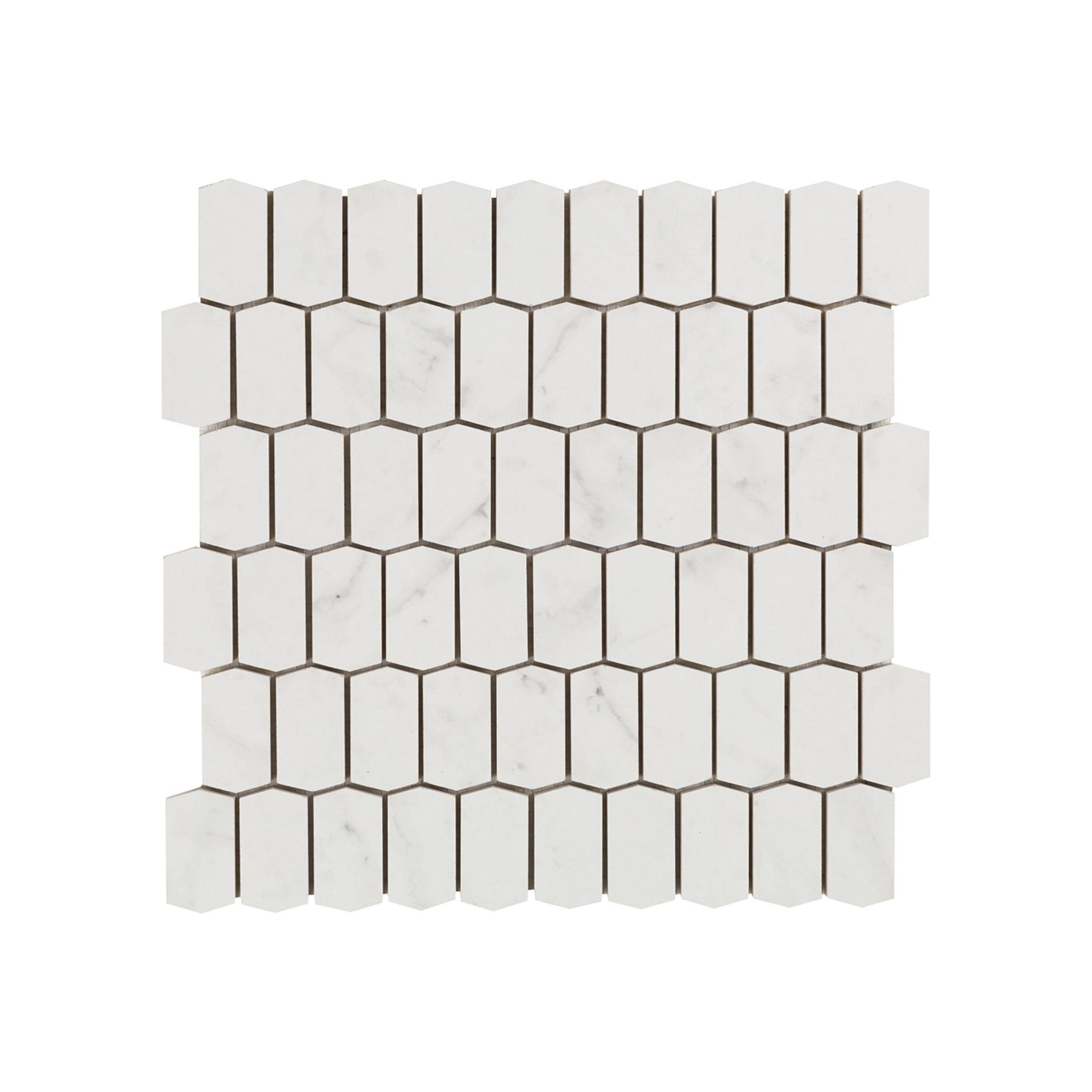 Cava Bianco - T-6000-CVB-CAR-MOS-HIV-BRS