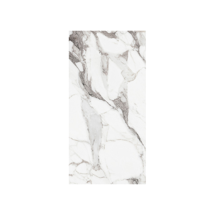 Origines De Rex - T-3806-ODR-AGT-FT-24X48-M10MM