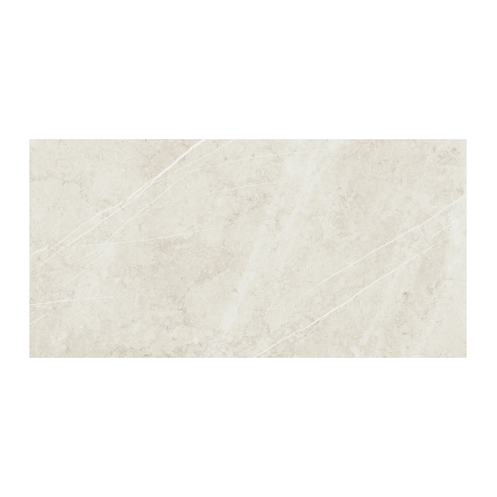 Champion - T-VS-CHAM-BON-FT-15X30-STN