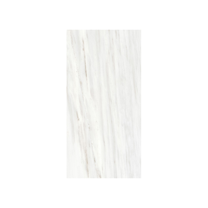 Origines De Rex - T-3806-ODR-ODR-FT-24X48-GLS10MM