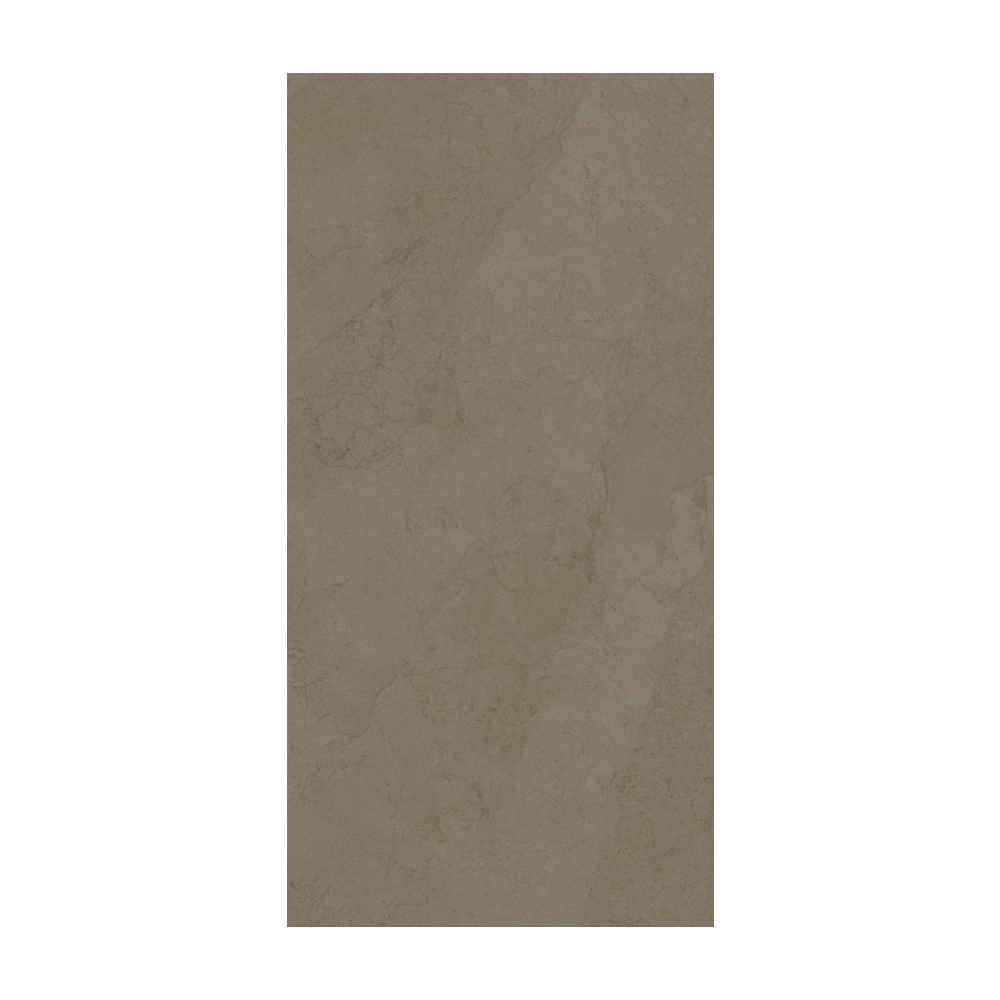 Contemporary - T-267223-CTNP-NUTP-FT-24X48-SOFT