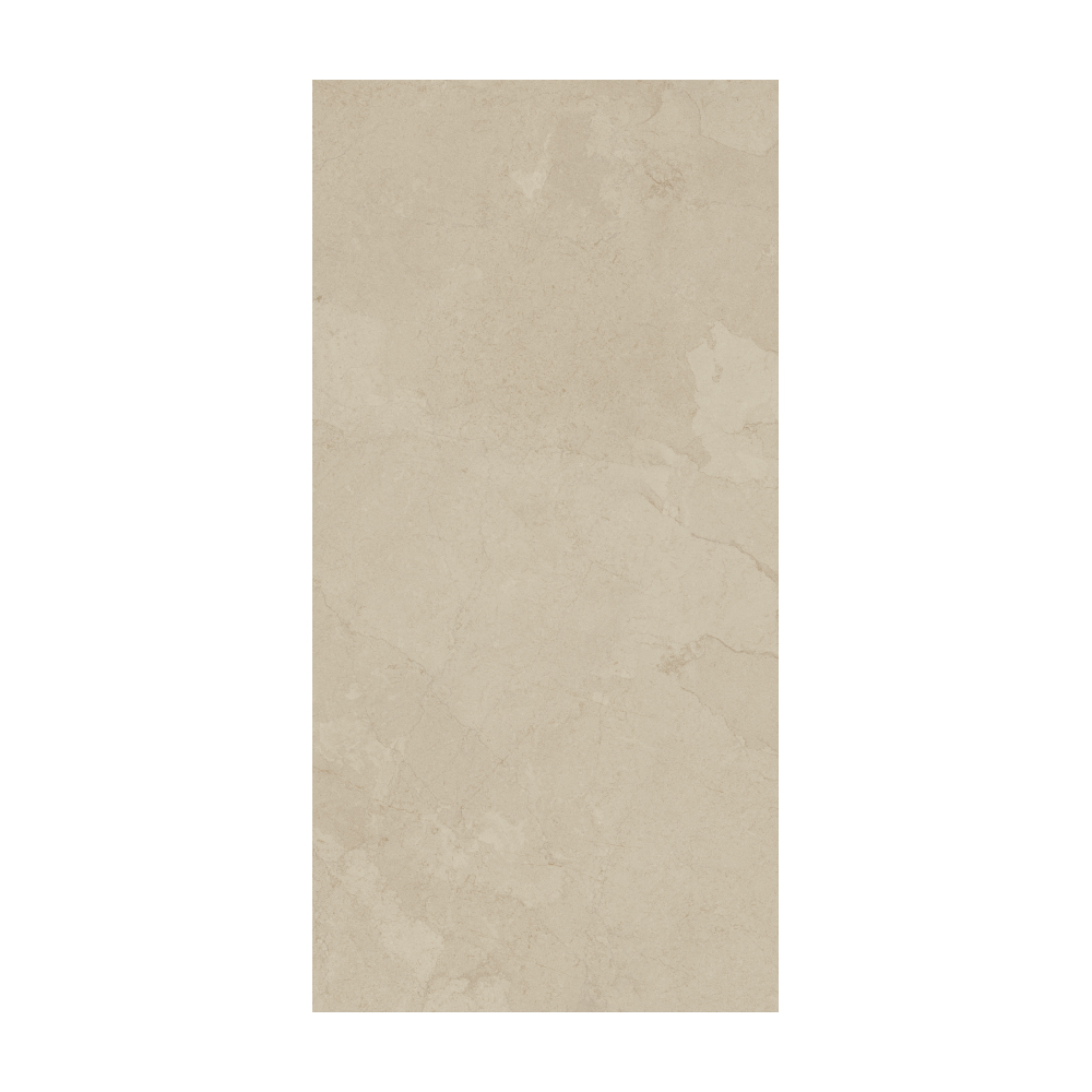 Contemporary - T-267223-CTNP-MDBE-FT-24X48-LTH