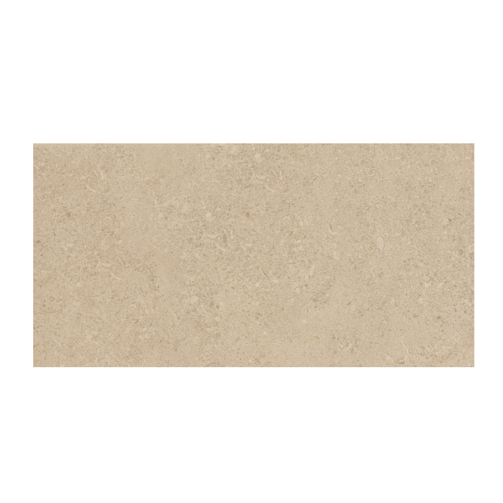 T-196252-MDER-BIS-FT-12X24-MR