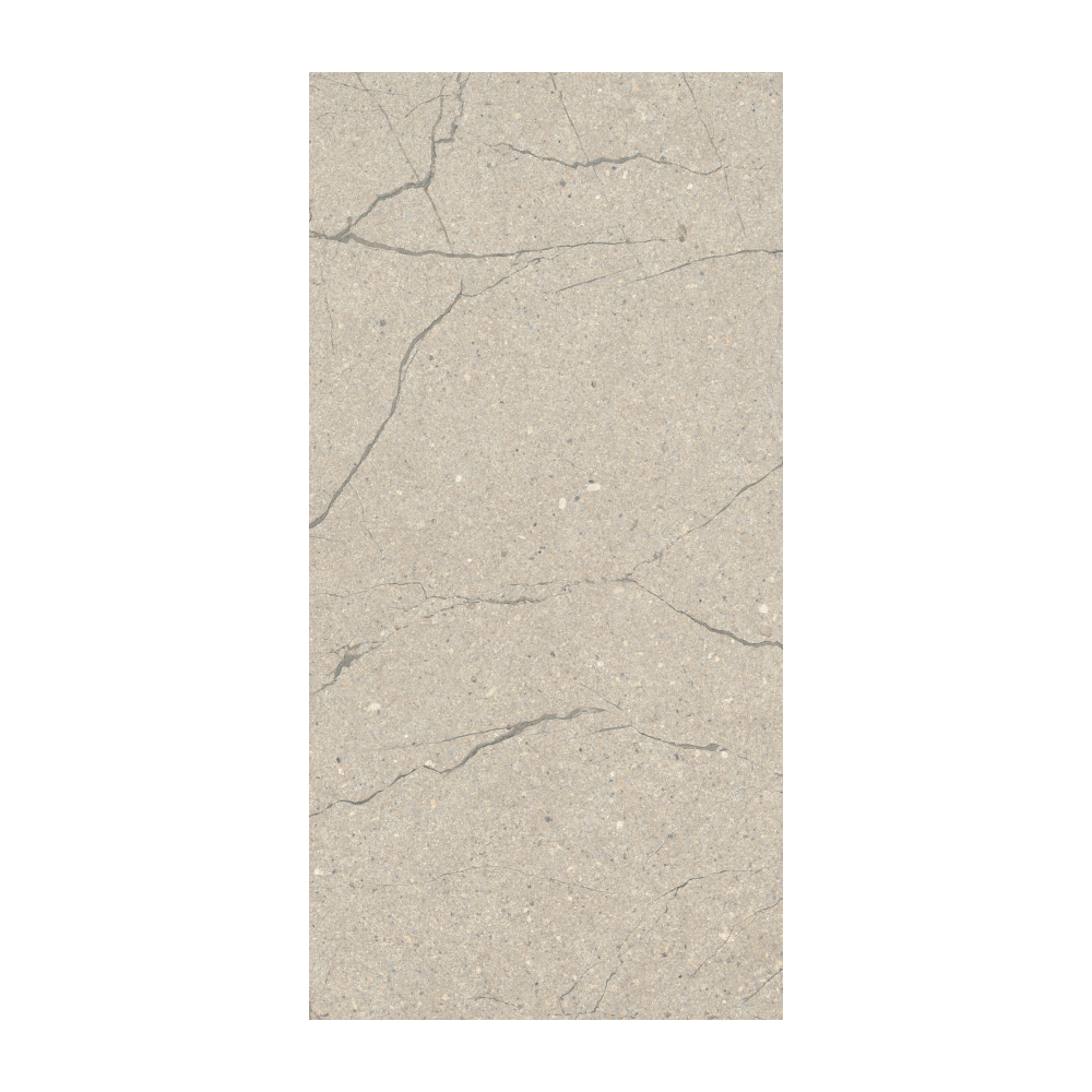 Sociale - T-2922-SCLE-SCL01-FT-12X24-FST