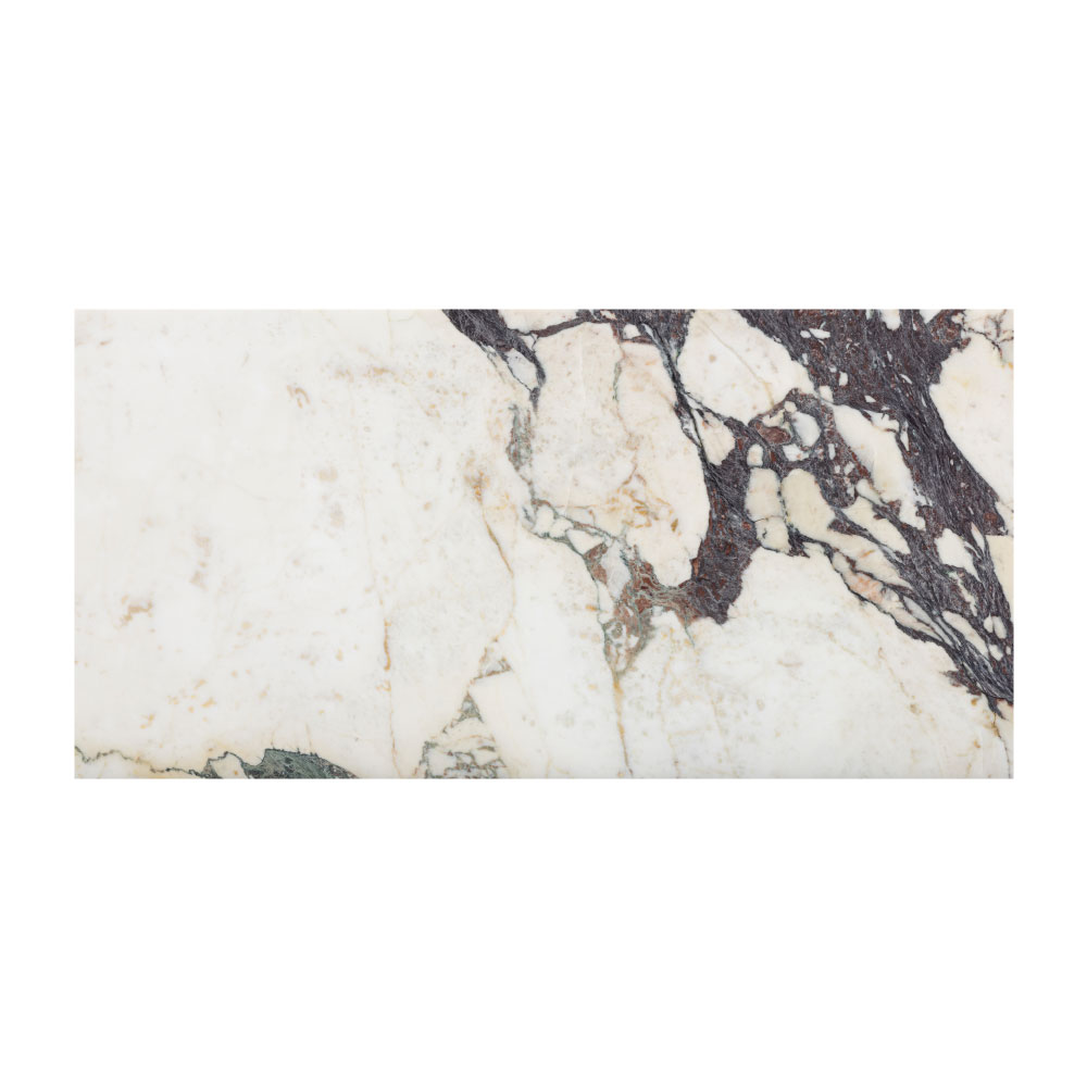 T-279219-WHM-CVIO-FT-12X24XTE-HNDAE-05