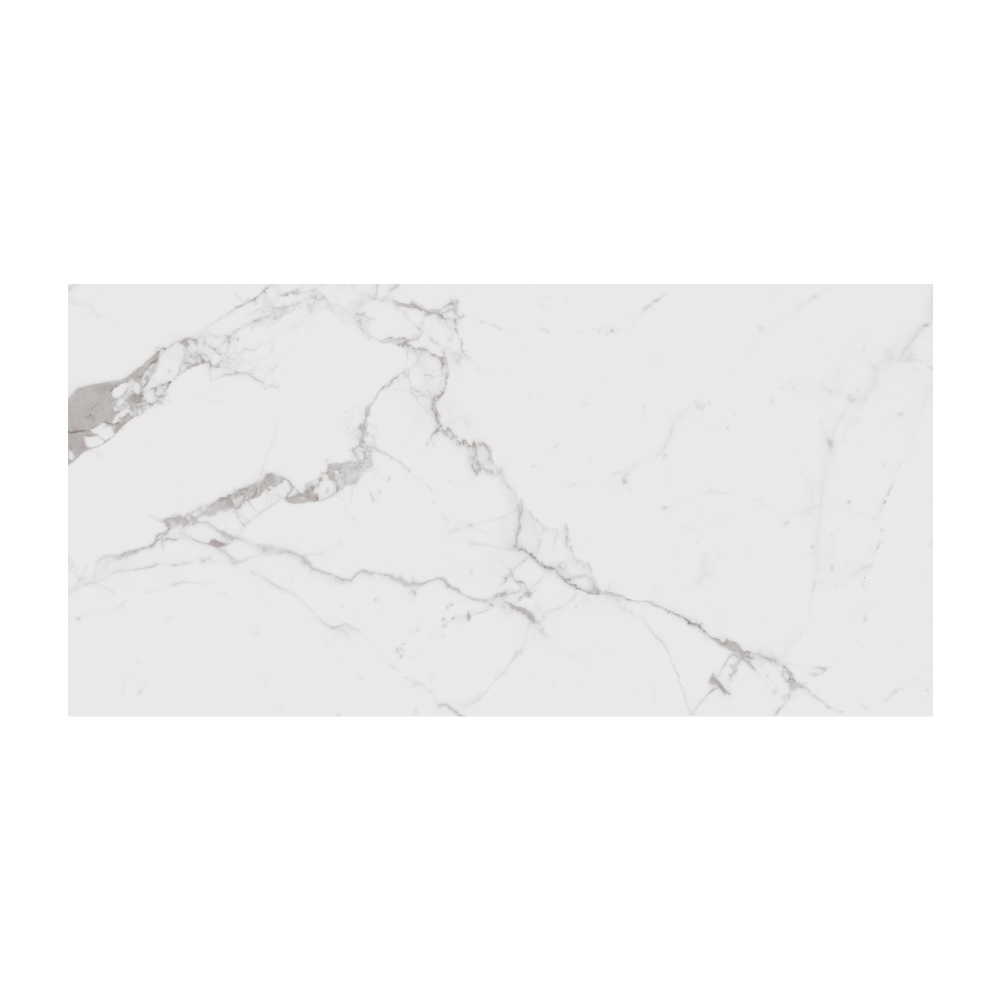 T-267223-LXEN-STAT-FT-24X48-SOFT