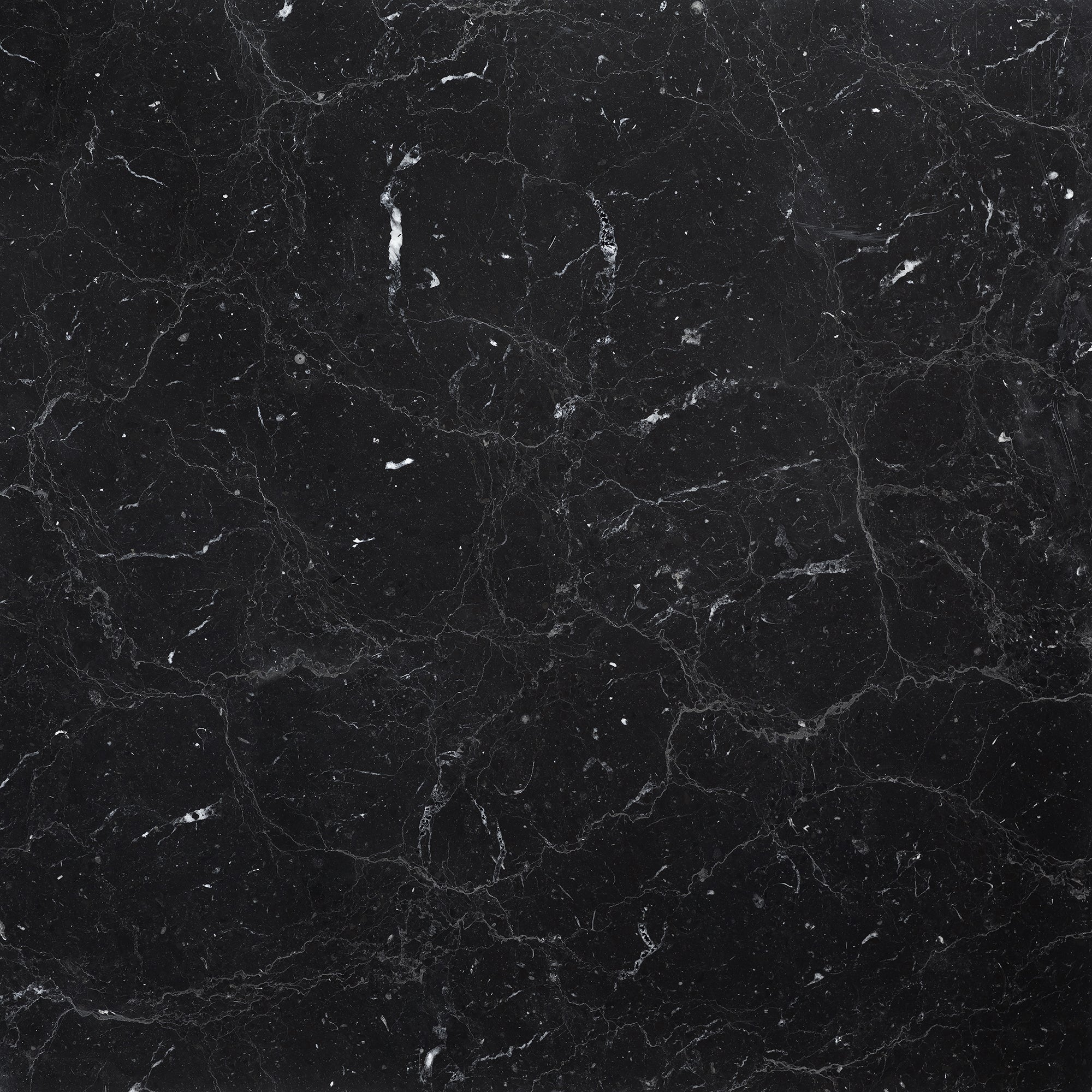 Noir Moon - T-279219-BMC-NRM-FT-18X18-POLAE