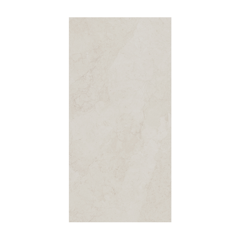 Contemporary - T-267223-CTNP-CHWH-FT-24X48-LTH