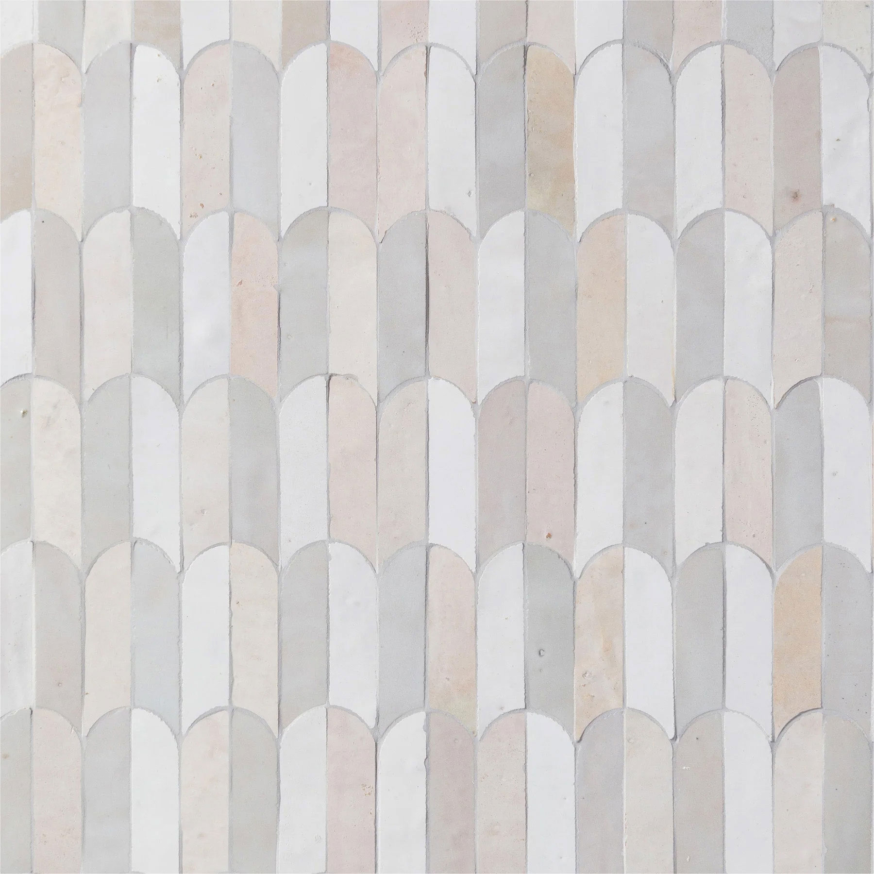 Mistral - T-145069-MSTR-CASAB-WT-MOSBAB-MXF