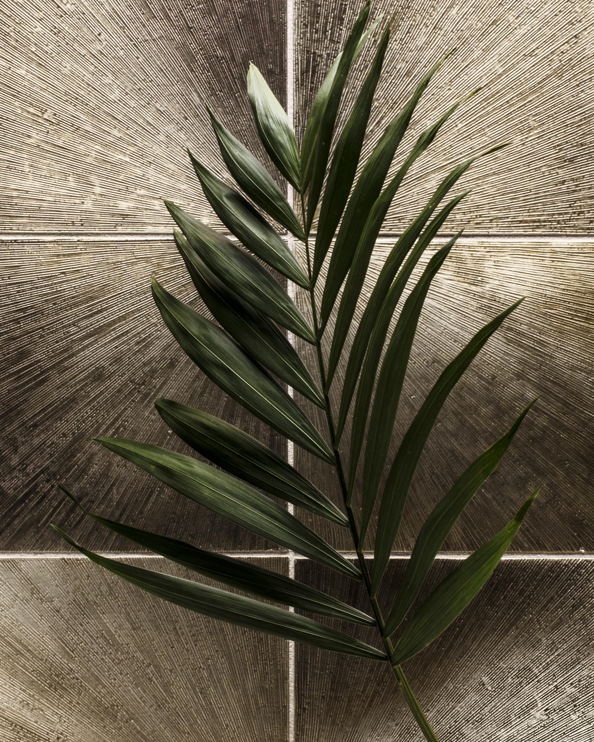 Product image for Grand Tour Starburst