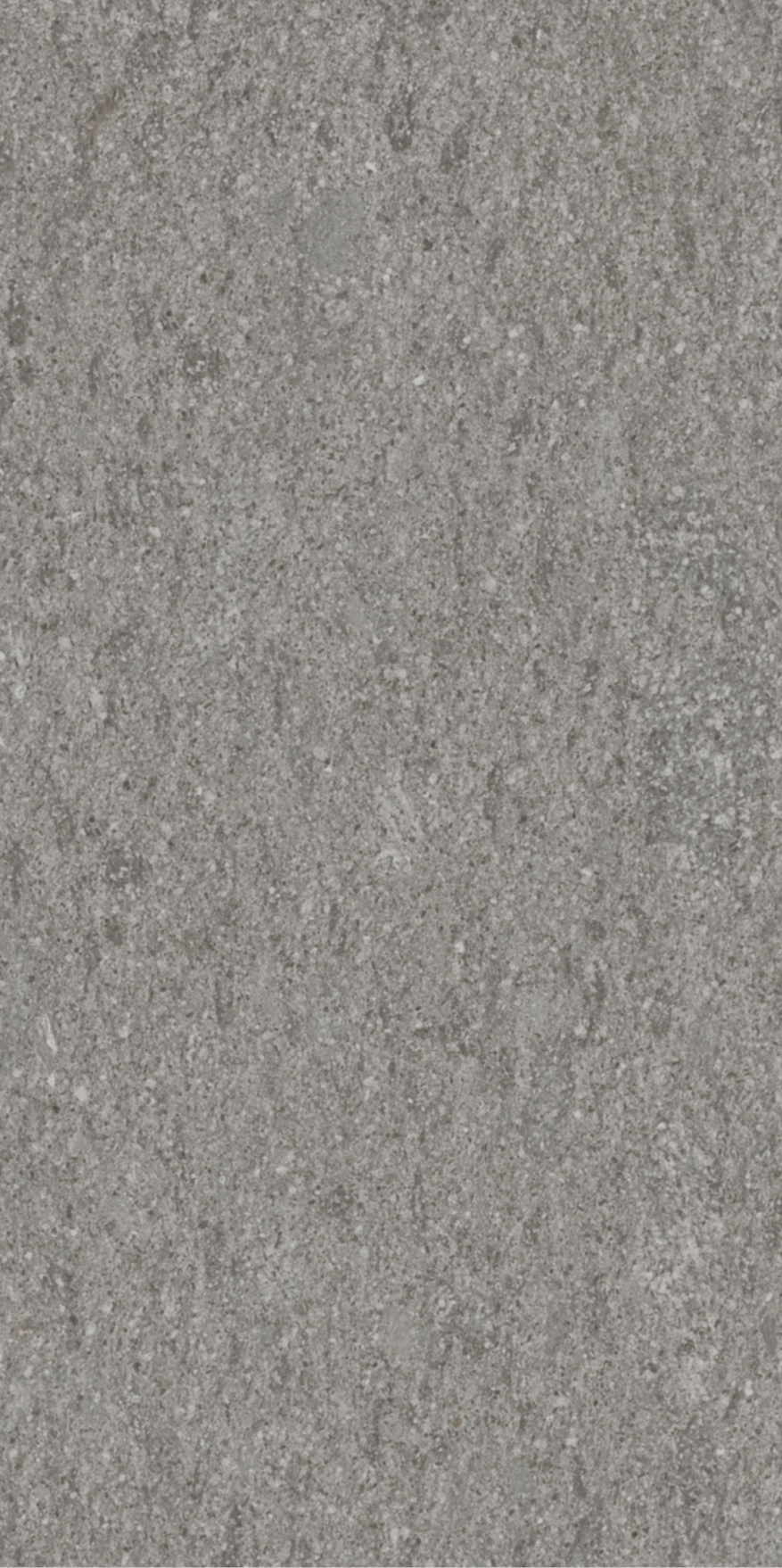 Civilization - T-2922-CIVI-CURR-FT-12X24-UPS