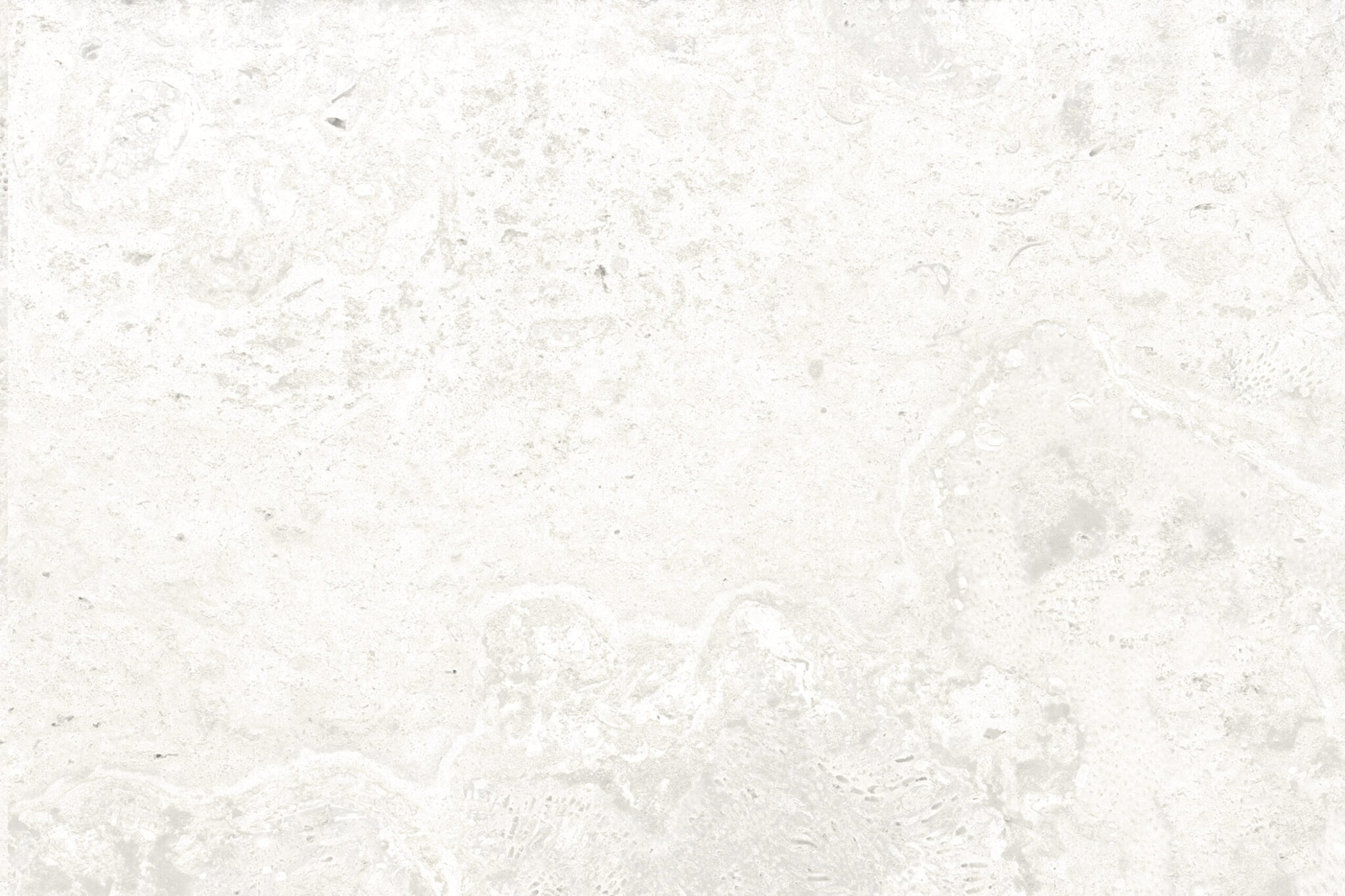 Old World Tabby Coral Select White 24x24 Porcelain Paver