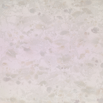 Attitude - T-3807-AT-W-FT-24X24-NAT