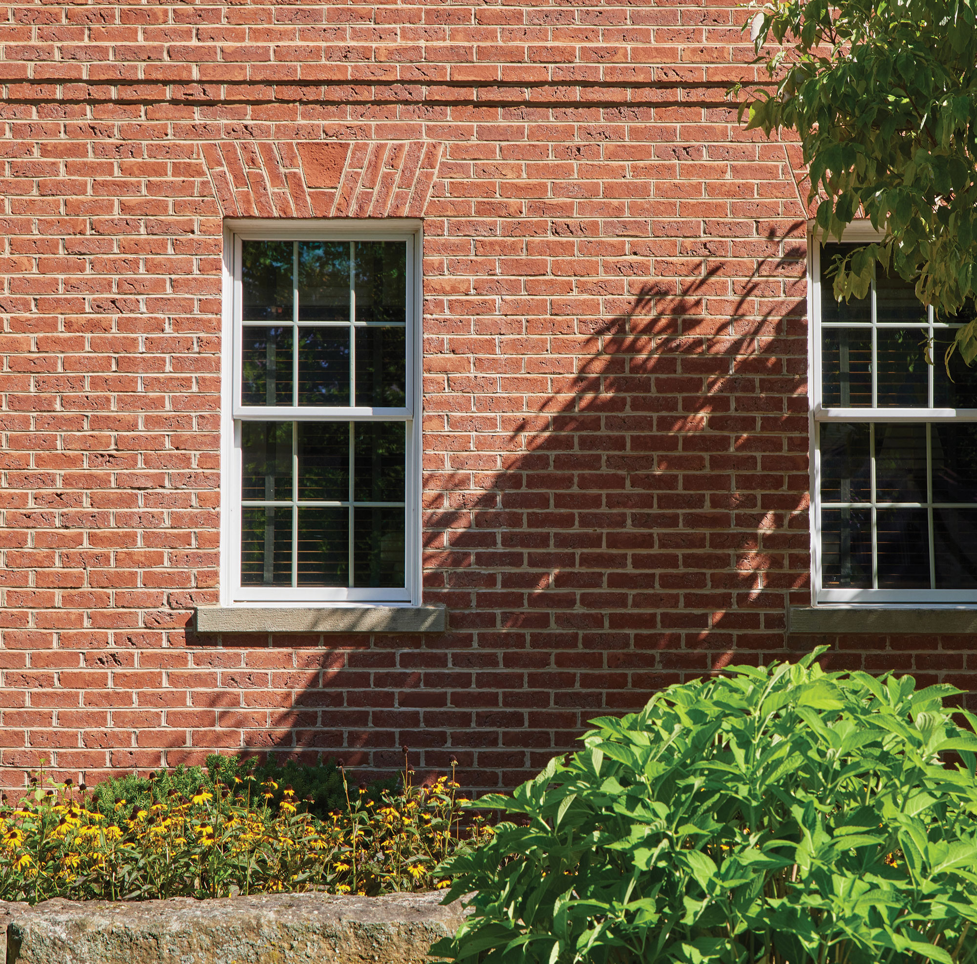 ROSEWOOD CLEAR JUMBO