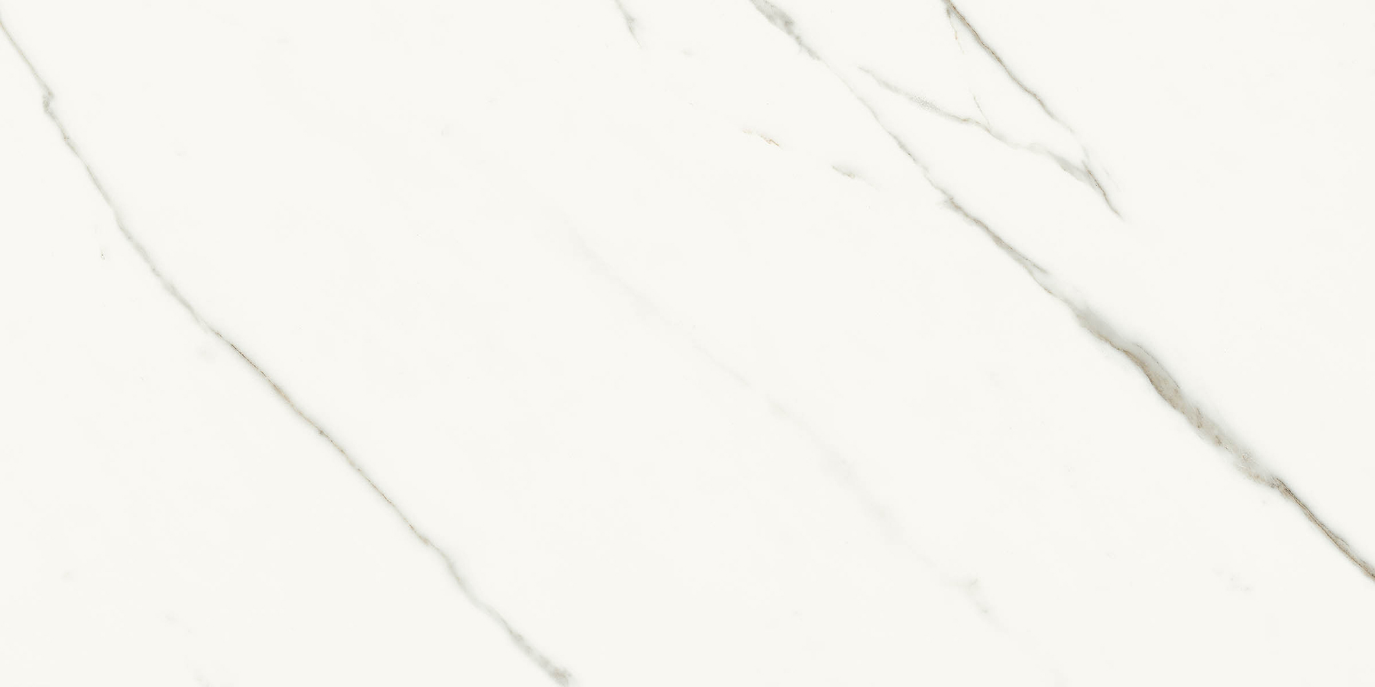 Aesthetica - T-2696-AEST-SXW-WT-24X48-STN6.5MM