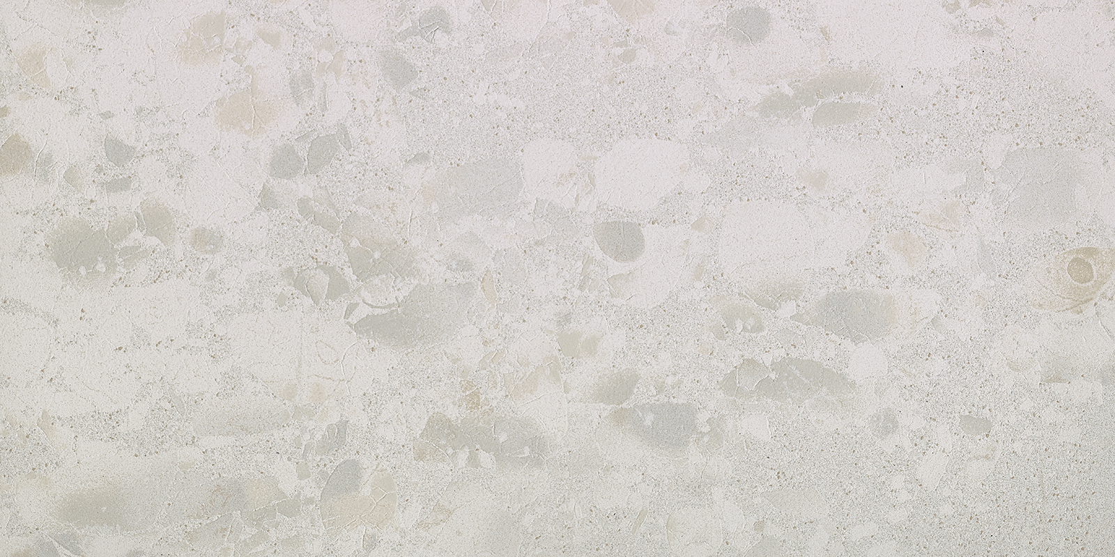 Attitude - T-2696-ATT-W-FT-24X48-MR