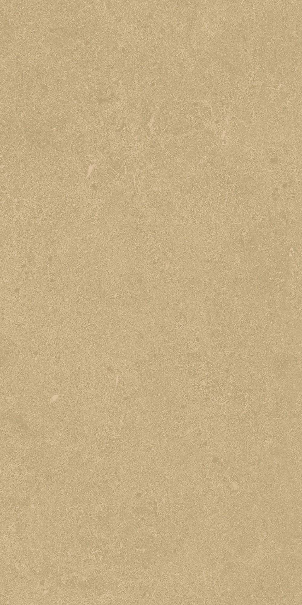 Argent 2.0 - T-2922-ARG2-ARG35-FT-6X24-UPS