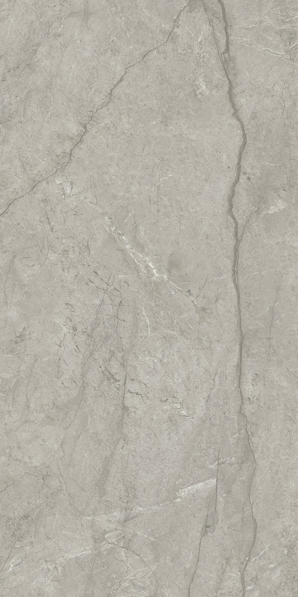 Prestige - T-267223-PRES-IMGR-FT-12X24-LUX