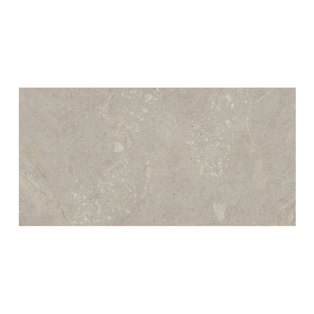 Moondance - T-267223-MNDC-GRY-FT-24X48-M