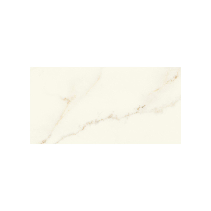 Marvel X - T-2067-MARVX-CAAP-FT-12X24-M